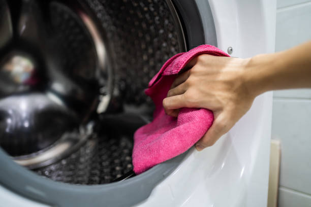 Reliable Linganore, MD Mold Removal Solutions