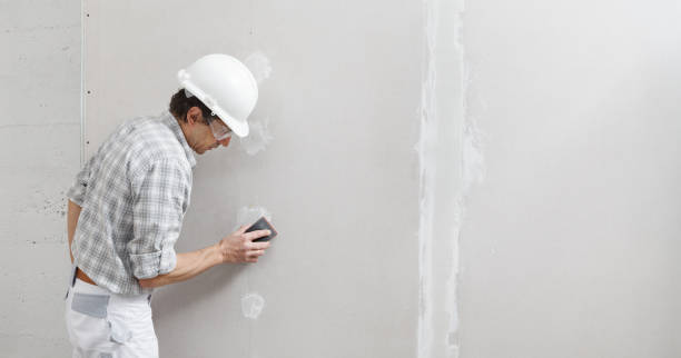 Best Mold Prevention Services  in Linganore, MD