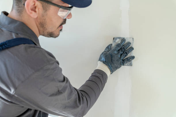  Linganore, MD Mold Removal Pros
