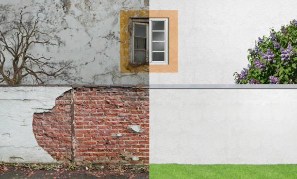 Best Mold Removal for HVAC Installations  in Linganore, MD