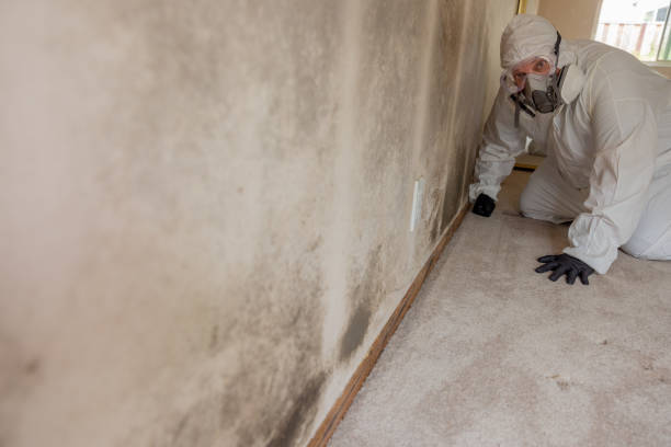 Best Attic Mold Removal  in Linganore, MD