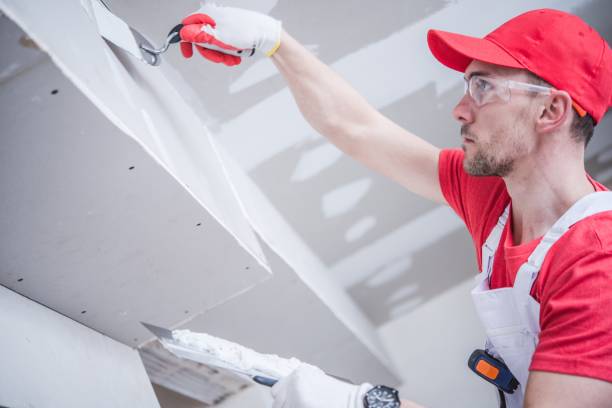 Best Environmental Consulting for Mold Prevention  in Linganore, MD