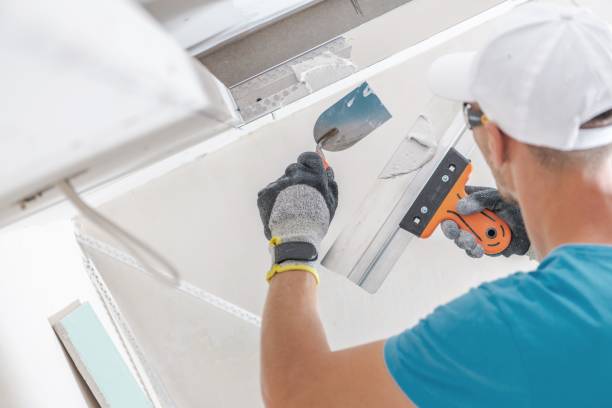 Mold Remediation for Rental Properties in Linganore, MD